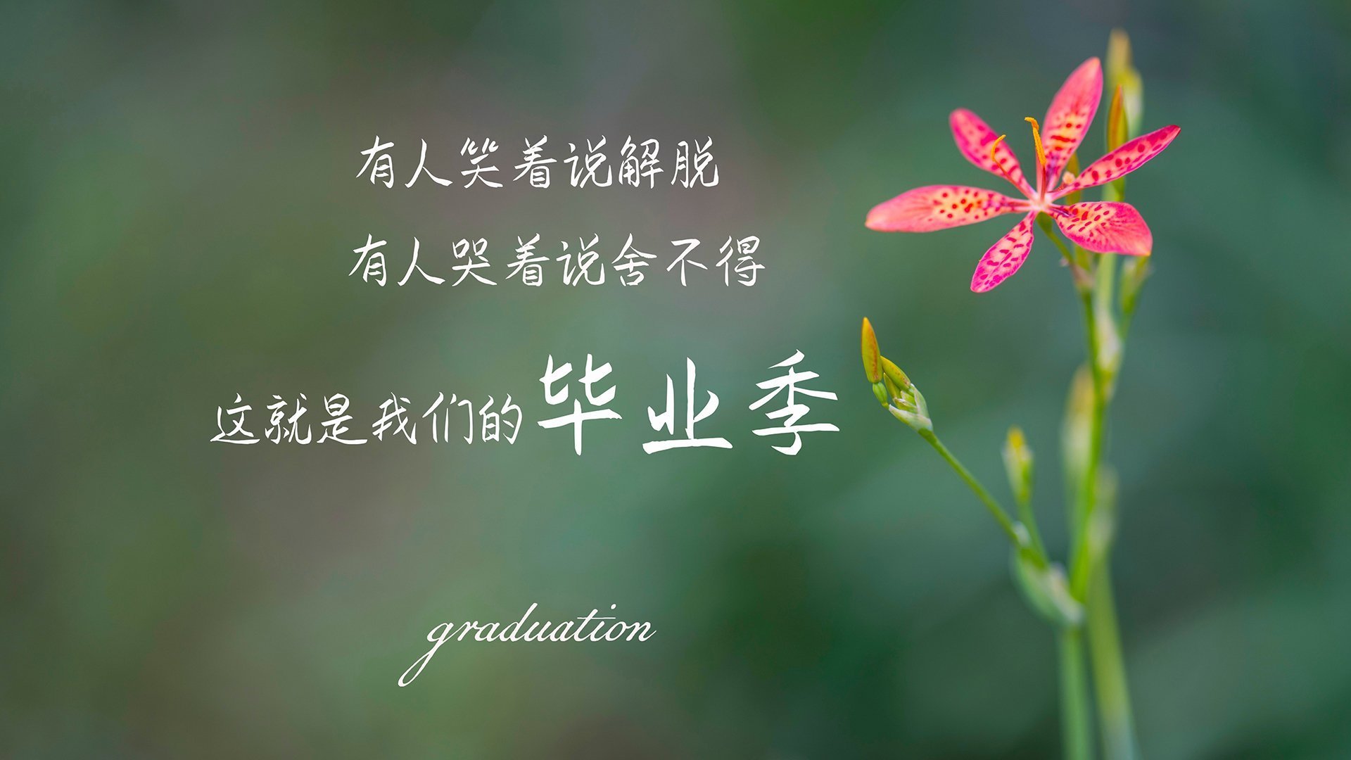 世界举重裁判评分透明化平台典型判例解析会开启，世界举重各级别记录